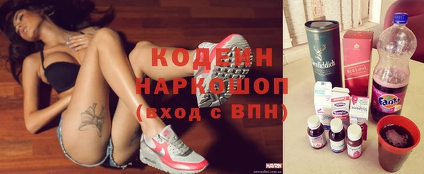 индика Абаза