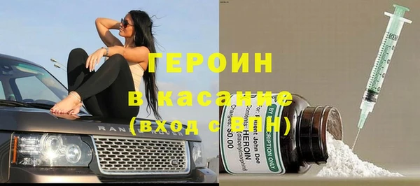 индика Абаза