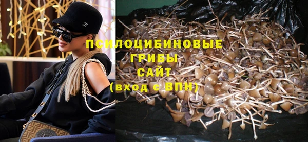 индика Абаза