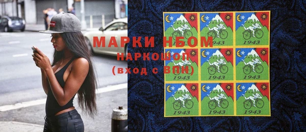 индика Абаза
