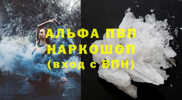 индика Абаза